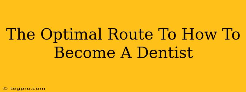 The Optimal Route To How To Become A Dentist