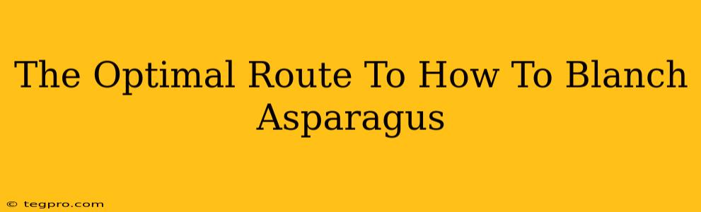 The Optimal Route To How To Blanch Asparagus