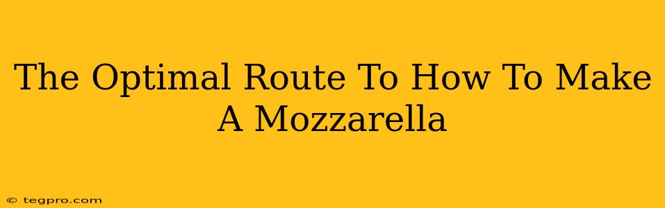 The Optimal Route To How To Make A Mozzarella