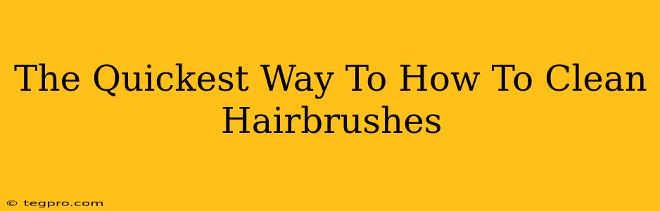 The Quickest Way To How To Clean Hairbrushes