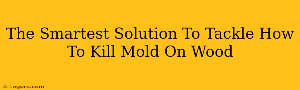 The Smartest Solution To Tackle How To Kill Mold On Wood