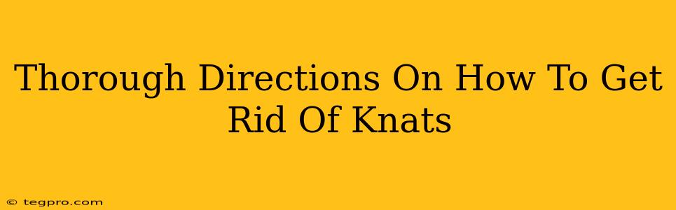 Thorough Directions On How To Get Rid Of Knats