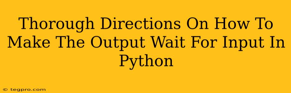 Thorough Directions On How To Make The Output Wait For Input In Python