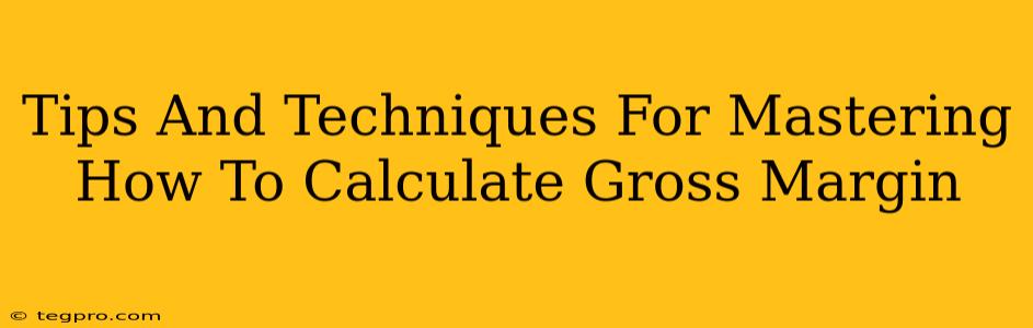 Tips And Techniques For Mastering How To Calculate Gross Margin