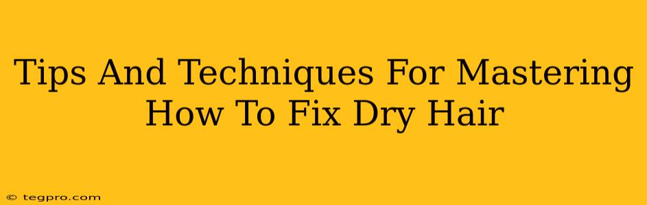 Tips And Techniques For Mastering How To Fix Dry Hair