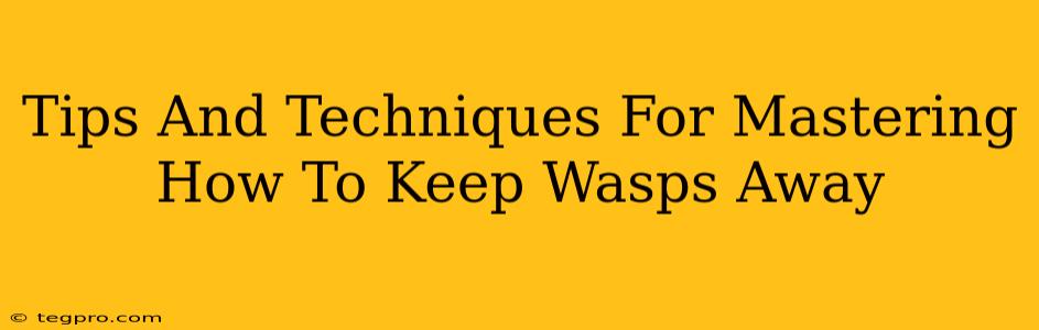 Tips And Techniques For Mastering How To Keep Wasps Away