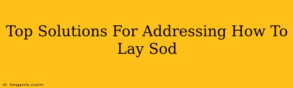 Top Solutions For Addressing How To Lay Sod