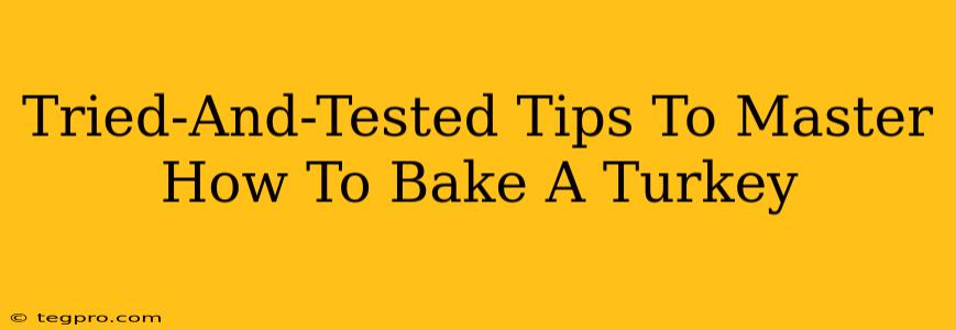 Tried-And-Tested Tips To Master How To Bake A Turkey