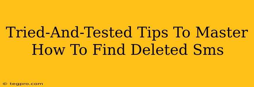 Tried-And-Tested Tips To Master How To Find Deleted Sms