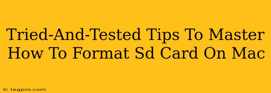 Tried-And-Tested Tips To Master How To Format Sd Card On Mac