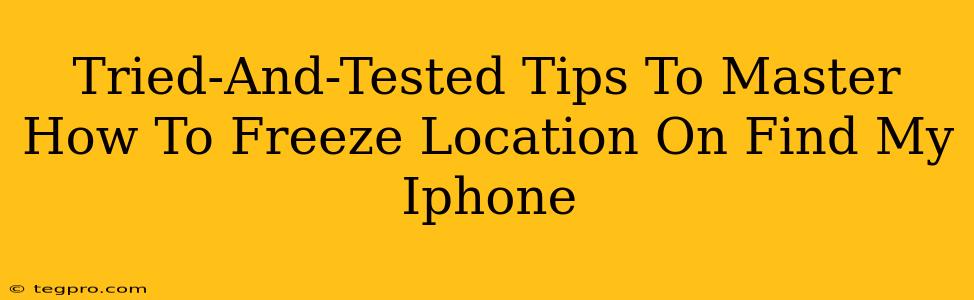 Tried-And-Tested Tips To Master How To Freeze Location On Find My Iphone