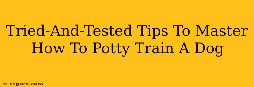 Tried-And-Tested Tips To Master How To Potty Train A Dog