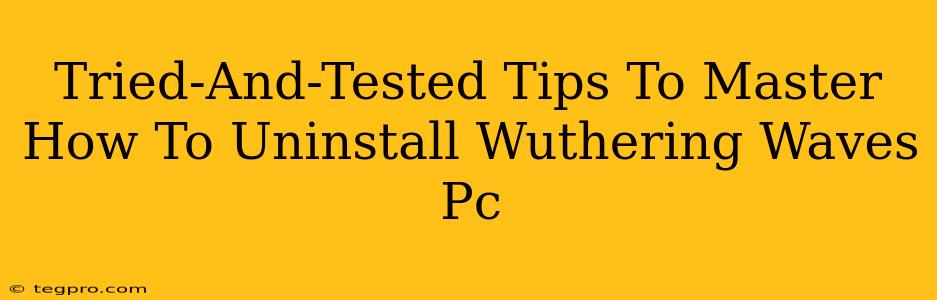 Tried-And-Tested Tips To Master How To Uninstall Wuthering Waves Pc
