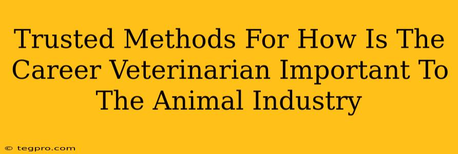 Trusted Methods For How Is The Career Veterinarian Important To The Animal Industry