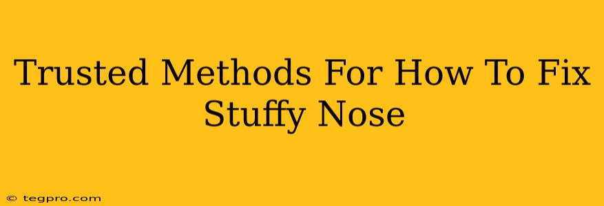 Trusted Methods For How To Fix Stuffy Nose