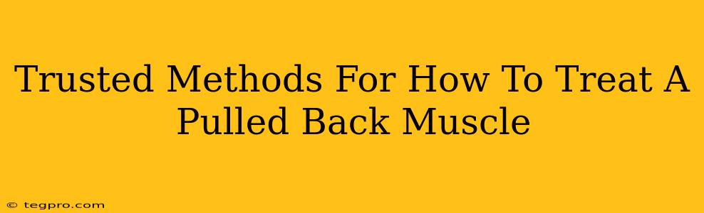 Trusted Methods For How To Treat A Pulled Back Muscle