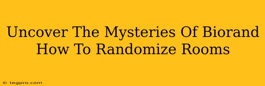 Uncover The Mysteries Of Biorand How To Randomize Rooms