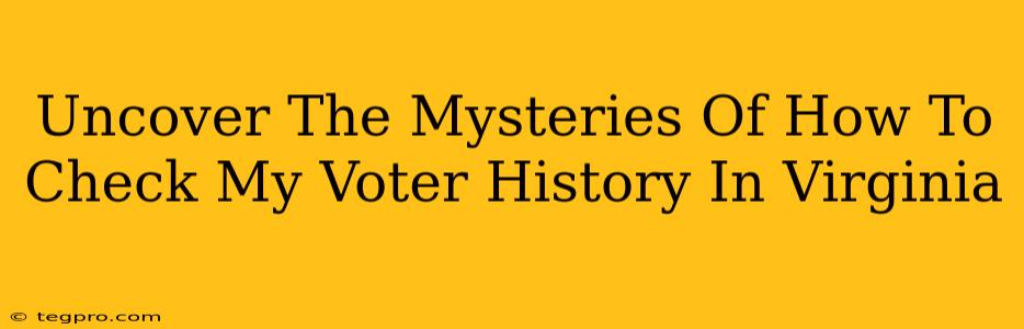 Uncover The Mysteries Of How To Check My Voter History In Virginia