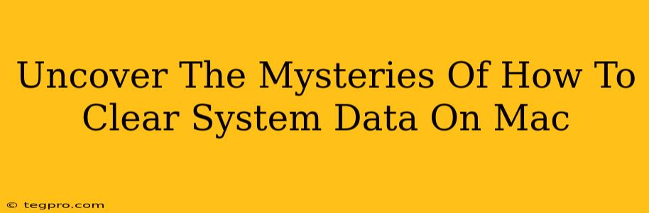 Uncover The Mysteries Of How To Clear System Data On Mac