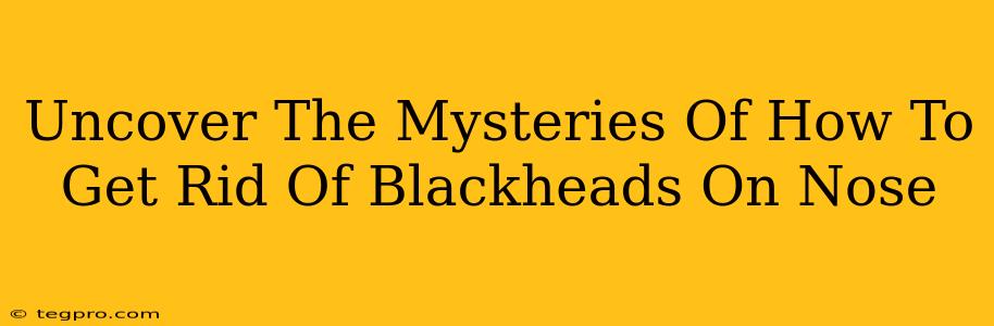 Uncover The Mysteries Of How To Get Rid Of Blackheads On Nose