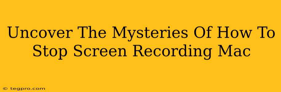 Uncover The Mysteries Of How To Stop Screen Recording Mac