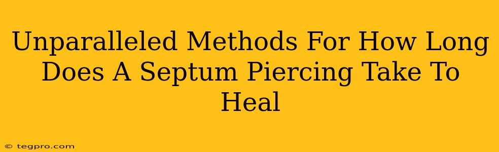 Unparalleled Methods For How Long Does A Septum Piercing Take To Heal