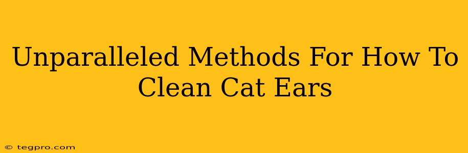 Unparalleled Methods For How To Clean Cat Ears