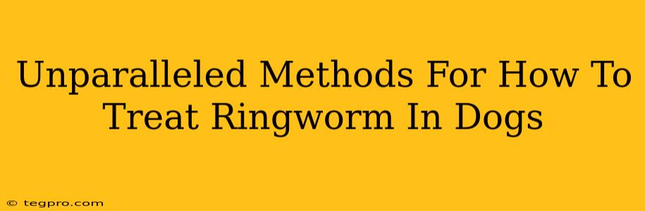 Unparalleled Methods For How To Treat Ringworm In Dogs