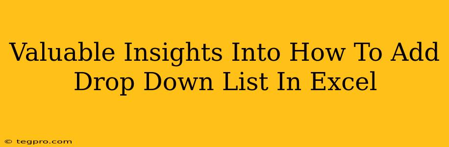 Valuable Insights Into How To Add Drop Down List In Excel