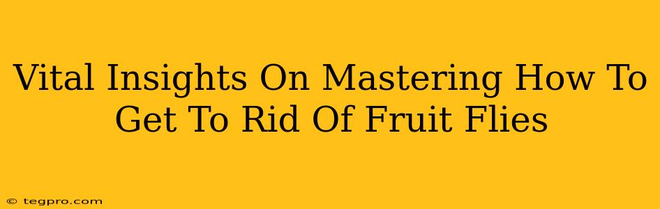 Vital Insights On Mastering How To Get To Rid Of Fruit Flies