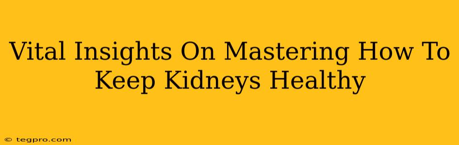 Vital Insights On Mastering How To Keep Kidneys Healthy