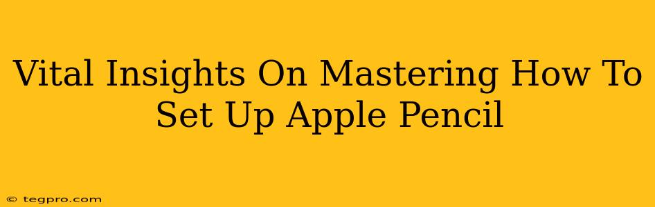 Vital Insights On Mastering How To Set Up Apple Pencil