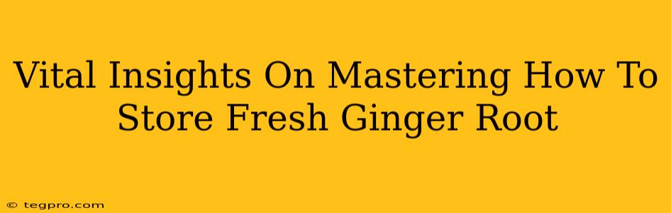 Vital Insights On Mastering How To Store Fresh Ginger Root