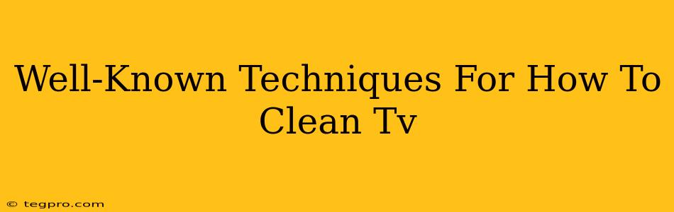 Well-Known Techniques For How To Clean Tv