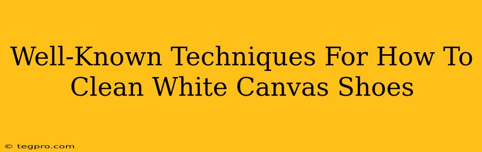 Well-Known Techniques For How To Clean White Canvas Shoes