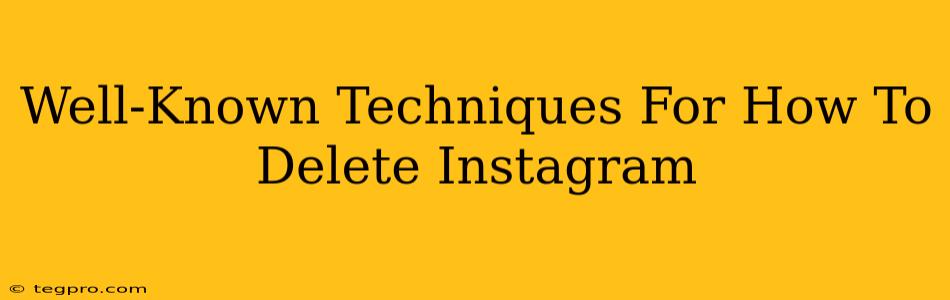 Well-Known Techniques For How To Delete Instagram