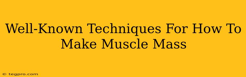 Well-Known Techniques For How To Make Muscle Mass